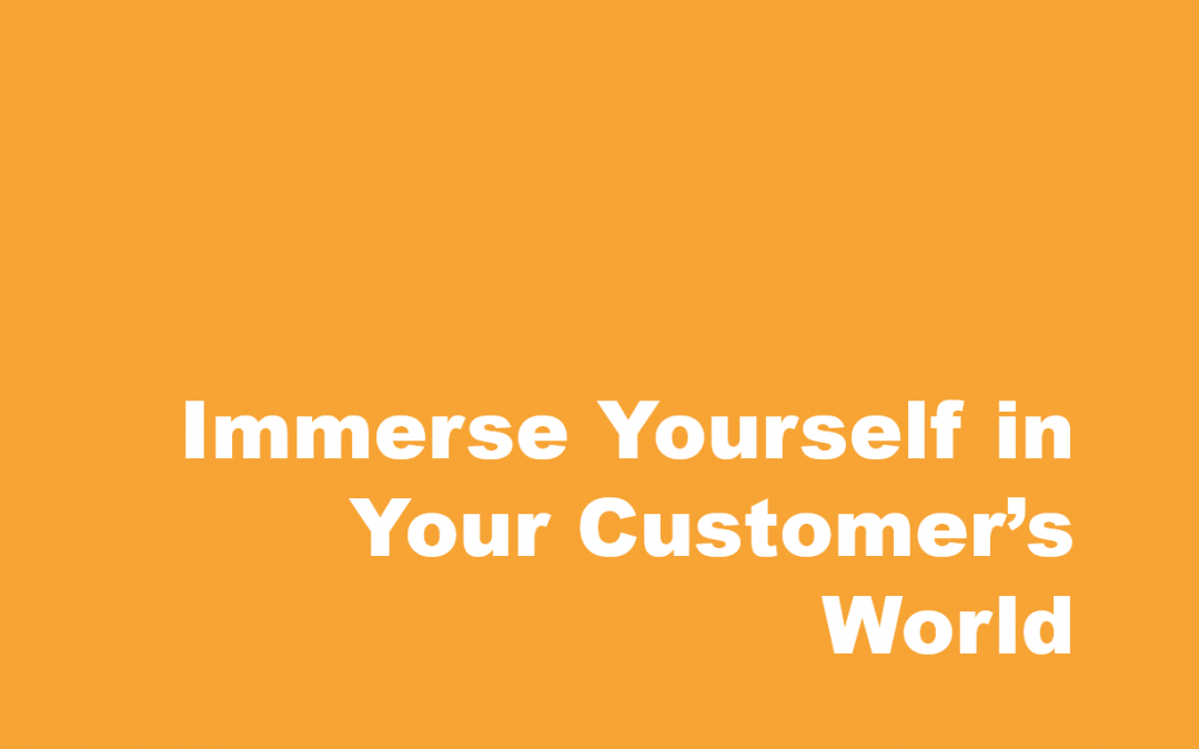 Have you Tried Immersing Yourself in Your Customer’s World?
