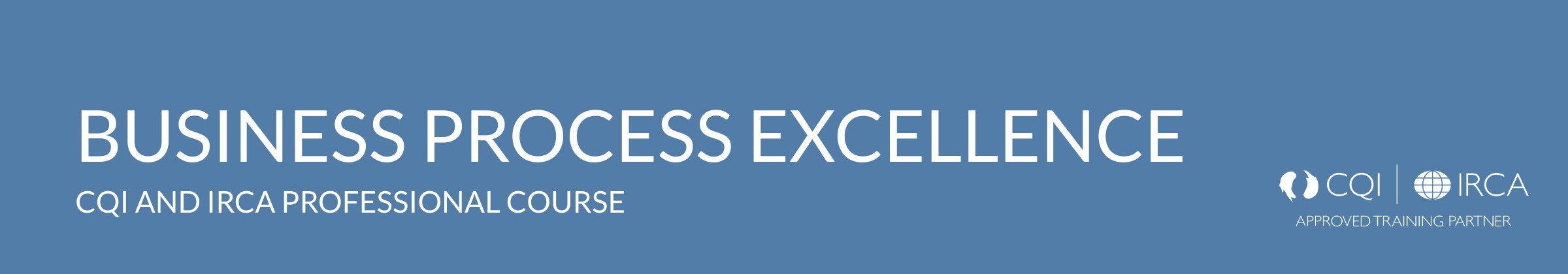 Business Process Excellence PR304